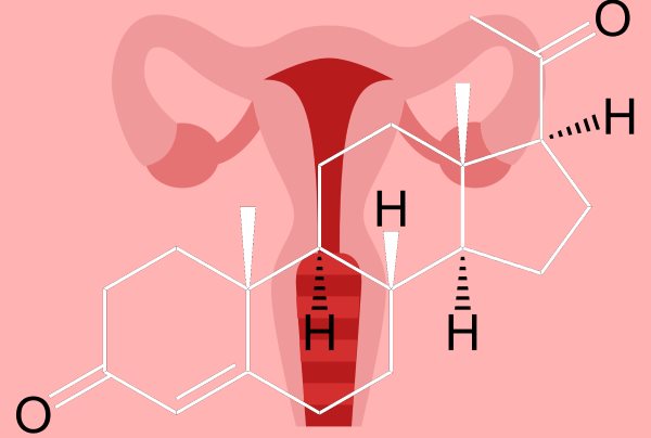 progesteron hormon